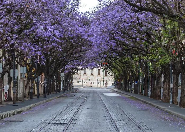 Hermitage Castelo - Casa Chafariz * Lisbon