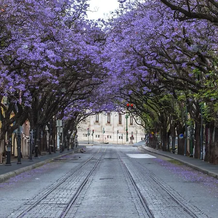 Hermitage Castelo - Casa Chafariz * Lissabon
